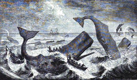 Boats Attacking Whales